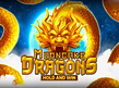 Aperçu de Mooncake Dragons Hold and Win