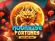 Aperçu de Moonrise Fortunes Hold and Win