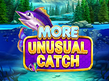 Preview image of More Unusual Catch