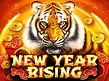 Preview image of New Year Rising