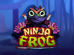 Preview image of Ninja Frog