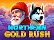 Предварительный просмотр Northern Gold Rush