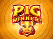 Preview image of Pig Winner