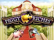 Preview image of Piggy Riches