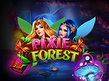 Preview image of Pixie Forest