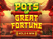 Preview image of Pots of Great Fortune Hold and Win