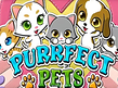 Preview image of Purrfect Pets