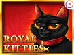 Aperçu de Royal Kitties