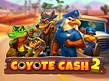Aperçu de RTG Coyote Cash 2