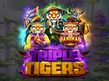 Preview image of RTG Triple Tigers