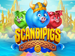 Preview image of Scandipigs