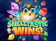 Preview image of Shelltastic Wins