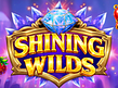 Aperçu de Shining Wilds