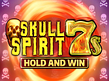 Aperçu de Skull Spirit 7s Hold and Win