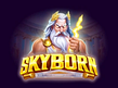 Vista previa de Skyborn