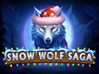 Preview image of Snow Wolf Saga
