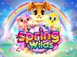 Preview image of Spring Wilds