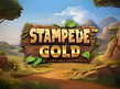 Preview image of Stampede Gold