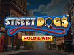 Preview image of Street Dogs Hold and Win