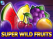 Preview image of Super Wild Fruits
