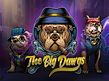 Preview image of The Big Dawgs