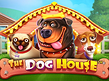Preview image of The Dog House