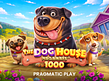 Aperçu de The Dog House Megaways 1000
