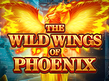 Preview image of The Wild Wings of Phoenix