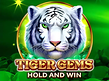 Aperçu de Tiger Gems