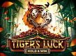 Preview image of Tigers Luck Hold and Win