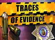 Preview image of Traces of Evidence