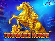 Preview image of Treasure Horse