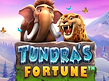 Preview image of Tundras Fortune