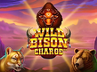 Preview image of Wild Bison Charge