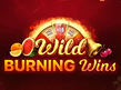 Preview image of Wild Burning Wins