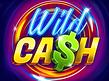 Preview image of Wild Cash