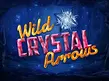 Preview image of Wild Crystal Arrows