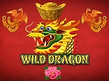 Preview image of Wild Dragon