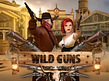Preview image of Wild Guns