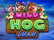Preview image of Wild Hog Luau