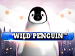 Preview image of Wild Penguin