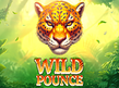 Preview image of Wild Pounce
