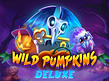 Vorschaubild von Wild Pumpkins Deluxe