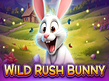 Preview image of Wild Rush Bunny