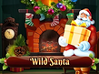 Preview image of Wild Santa