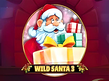 Preview image of Wild Santa 3