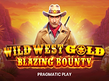Preview image of Wild West Gold Blazing Bounty