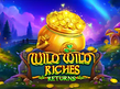 Preview image of Wild Wild Riches Returns
