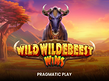 Preview image of Wild Wildebeest Wins