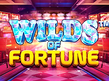 Preview image of Wilds of Fortune